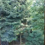 Eldorado - Caloroczny Wakacyjny 35 Km Od Krakowa
