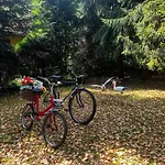 Casa vacanze Eldorado - Caloroczny Wakacyjny 35 Km Od Krakowa Stroza (Myslenice)