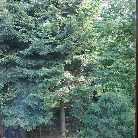 Eldorado - Caloroczny Wakacyjny 35 Km Od Krakowa
