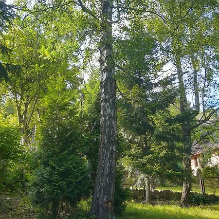Eldorado - Caloroczny Wakacyjny 35 Km Od Krakowa Hébergement de vacances Stroza (Myslenice)
