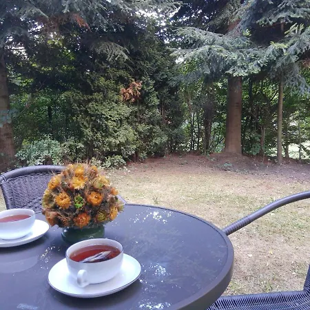 Eldorado - Caloroczny Wakacyjny 35 Km Od Krakowa * Stroza (Myslenice)