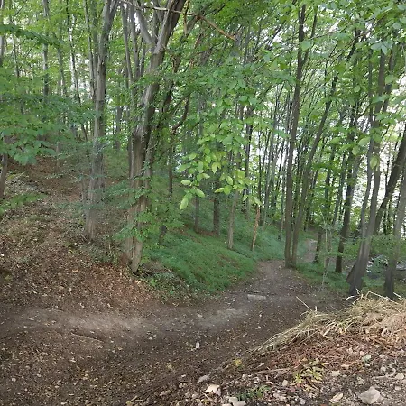 Vakantiehuis Eldorado - Caloroczny Wakacyjny 35 Km Od Krakowa *