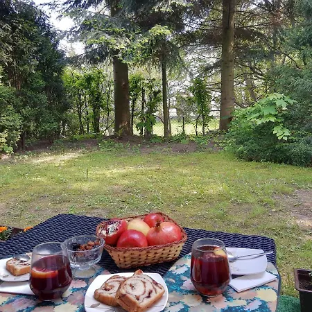 Eldorado - Caloroczny Wakacyjny 35 Km Od Krakowa Holiday home